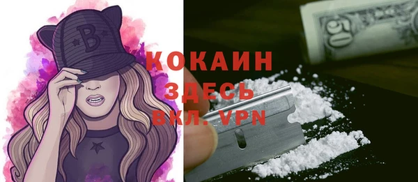 сатива Надым