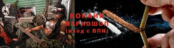 сатива Надым