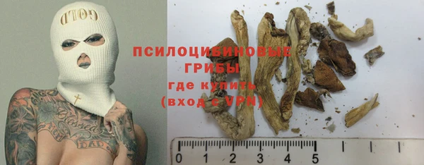 сатива Надым