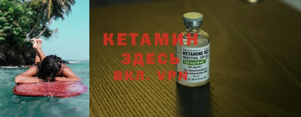 сатива Надым