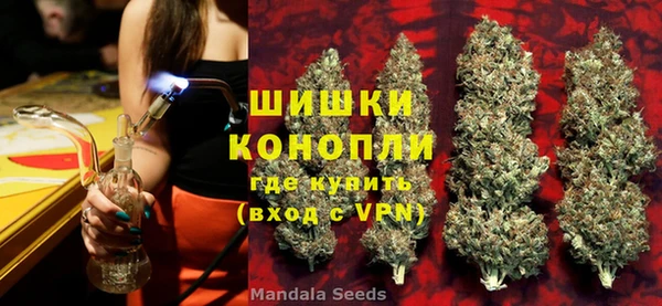сатива Надым