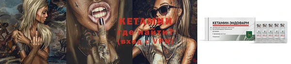 сатива Надым