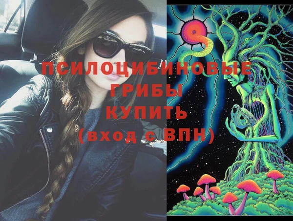сатива Надым
