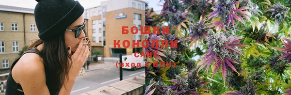 дмт Михайловск