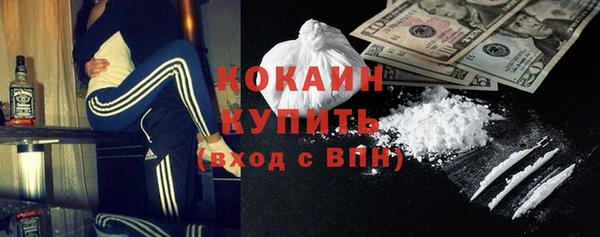 сатива Надым