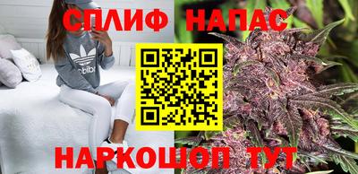 спиды Кандалакша