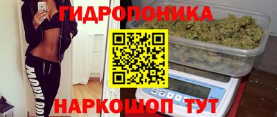 ПСИЛОЦИБИНОВЫЕ ГРИБЫ Канаш