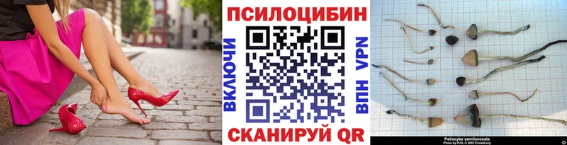 мега как зайти  Лянтор  Псилоцибиновые грибы прущие грибы  купить  