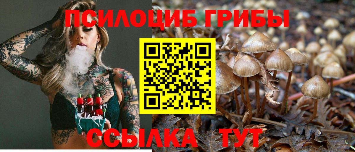 Галлюциногенные грибы Cubensis  Вход с VPN  Псилоцибиновые грибы мухоморы  Лянтор 